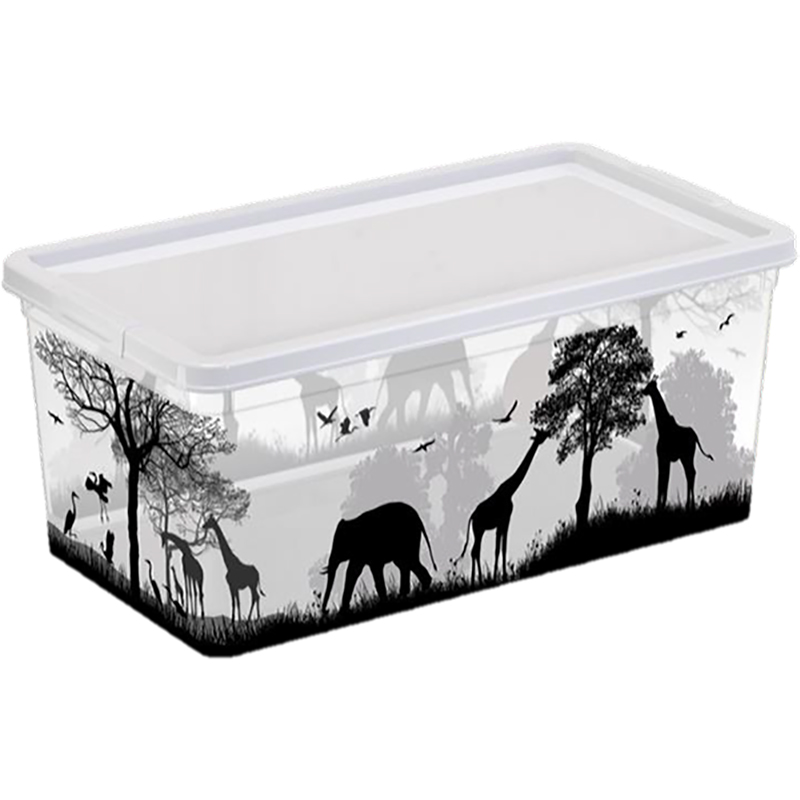 изображение Коробка  3.5л  Africa  259х182х106мм в ассортименте1